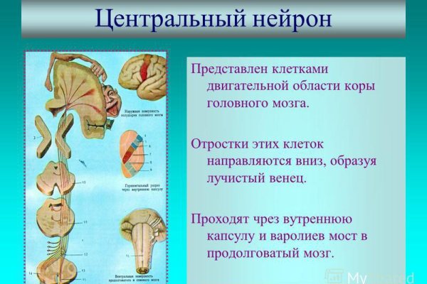 Кракен торговая площадка