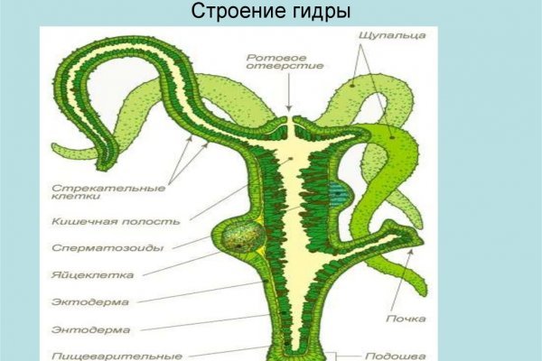 Кракен маркетплейс в москве